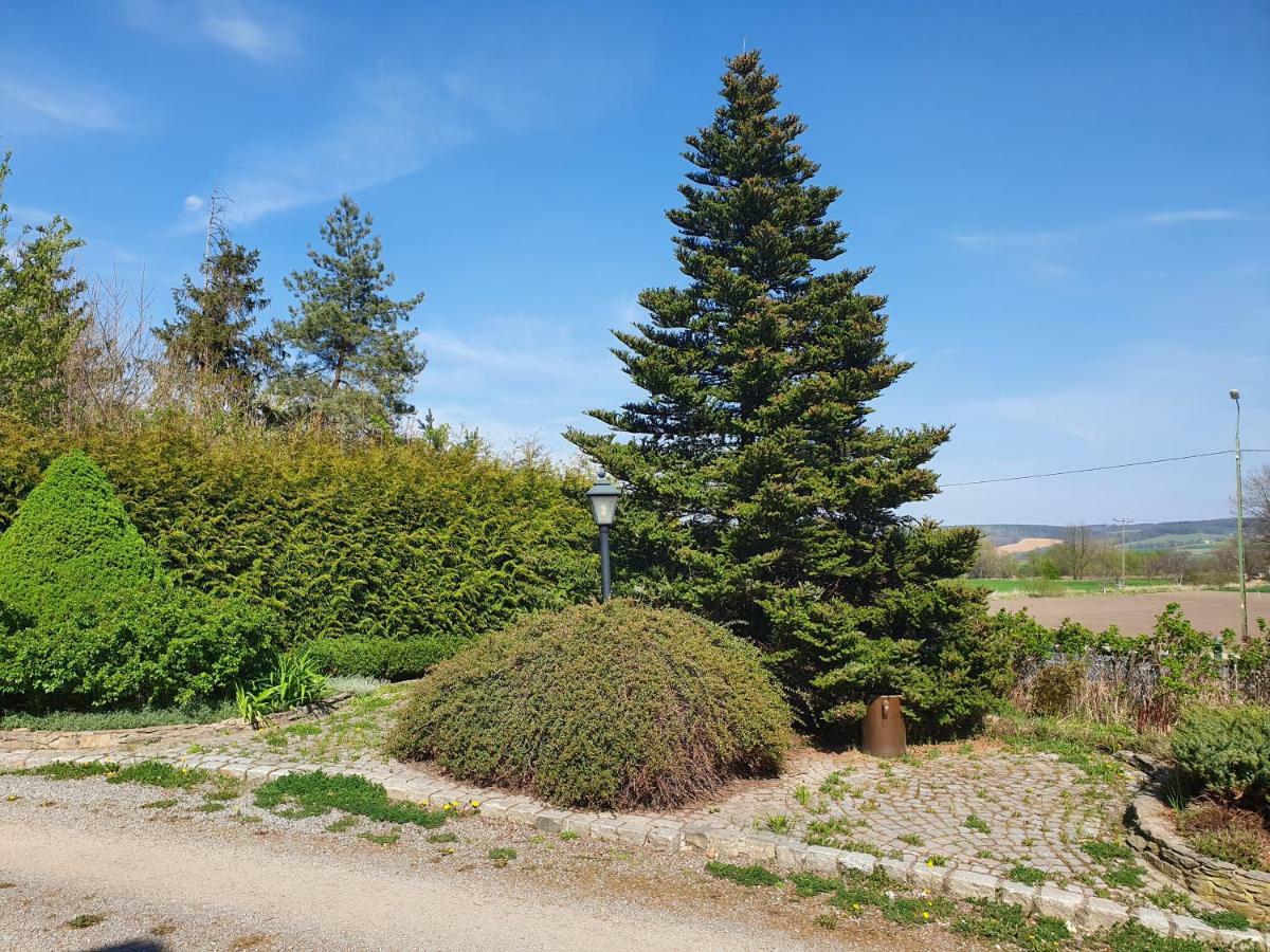 Przerzeczyn-Zdroj Villa Kliche מראה חיצוני תמונה